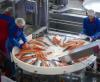 Nga cấm nhập khẩu thủy sản Na Uy qua Belarus