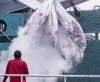 Đầu mùa khai thác cá ngừ, ngư dân đánh bắt trên biển xuyên Tết