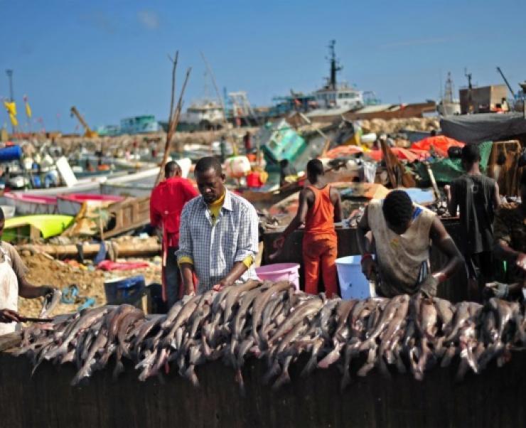 Panama cần thời gian để đáp ứng yêu cầu của EU về IUU